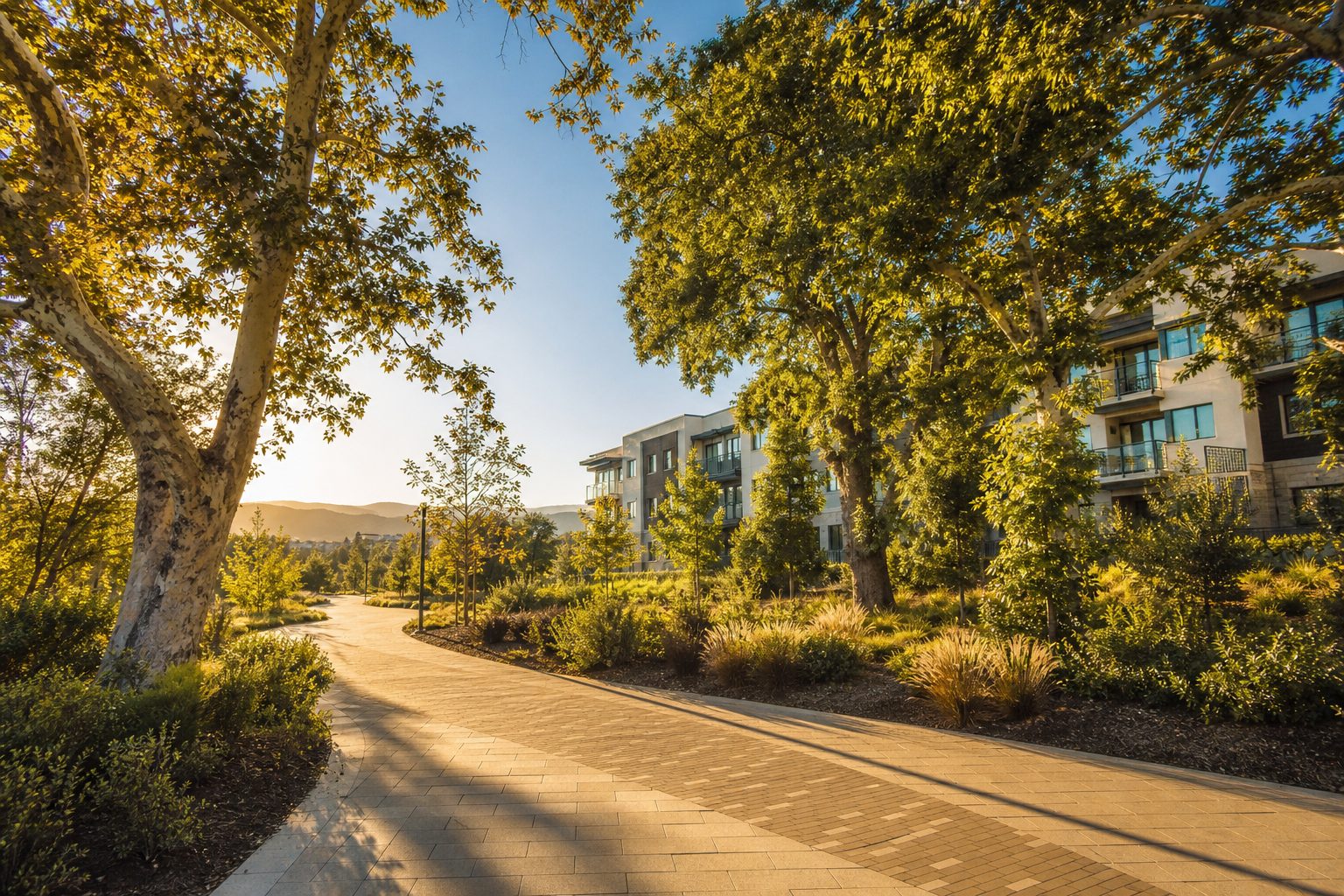 Shaded Valencia paseo trail lined with oak trees and modern residential building in background under late afternoon sunlight.